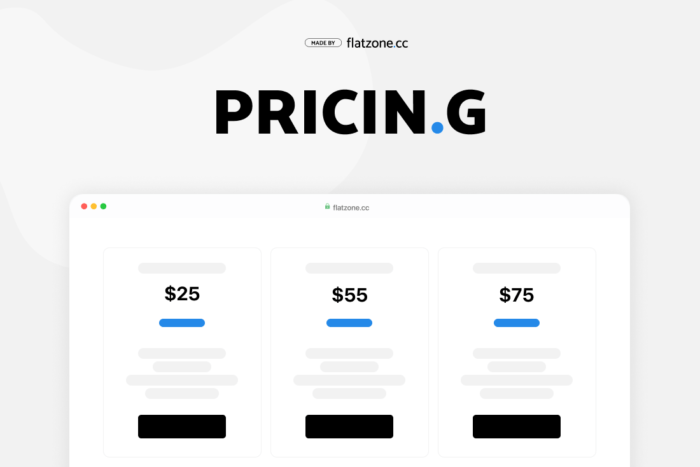 Pricing